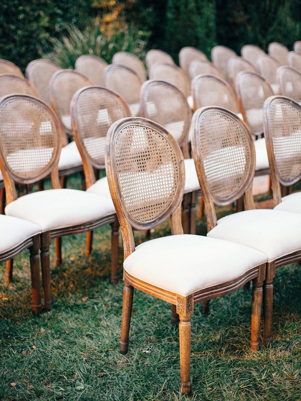 Wedding Banquet Chairs 14